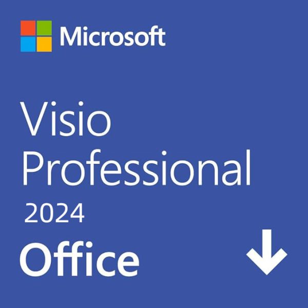 Microsoft Visio Professional 2024 最新永続版|オンラインコード版|Windows11、10|PC1台
